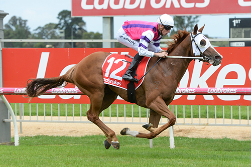 LOVEYAMORE ONE START ONE WIN!.